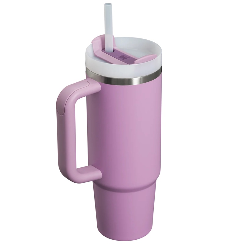 Jual Botol Minum Training Stanley The Quencher H2.0 Flowstate Tumbler 30 Oz Lilac Original 1010827656 - hoops.sakaraguna.com