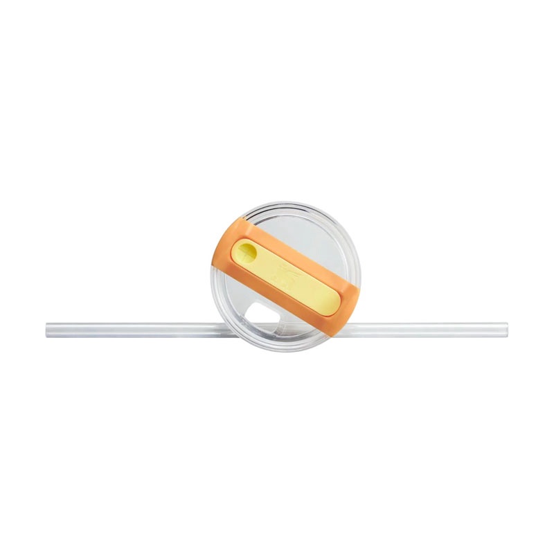 Jual Botol Minum Training Stanley The Quencher H2.0 Flowstate Tumbler 30 Oz Marigold Original 1011825284 - hoops.sakaraguna.com