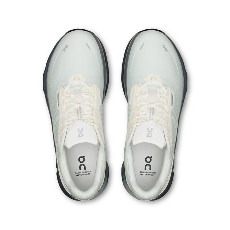 Jual Sepatu Lari On Cloudrunner 2 Waterproof Iceberg Original 3Me10155285 - hoops.sakaraguna.com