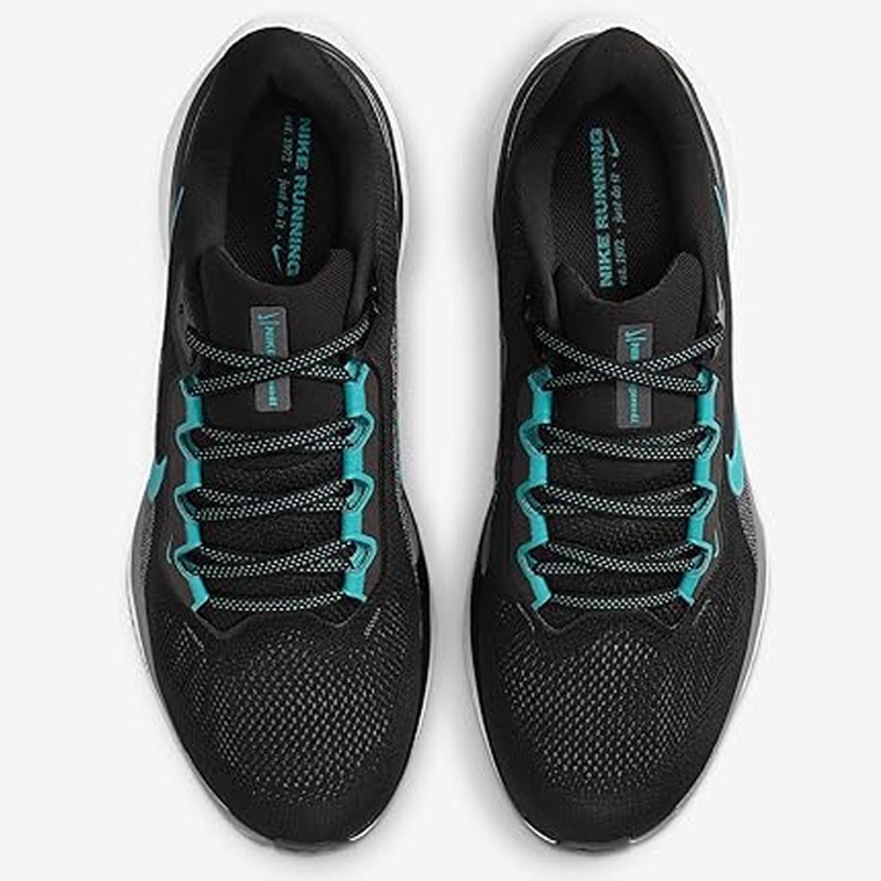 Jual Sepatu Lari Nike Air Zoom Pegasus 41 Black Cool Original Fd2722-007 - hoops.sakaraguna.com