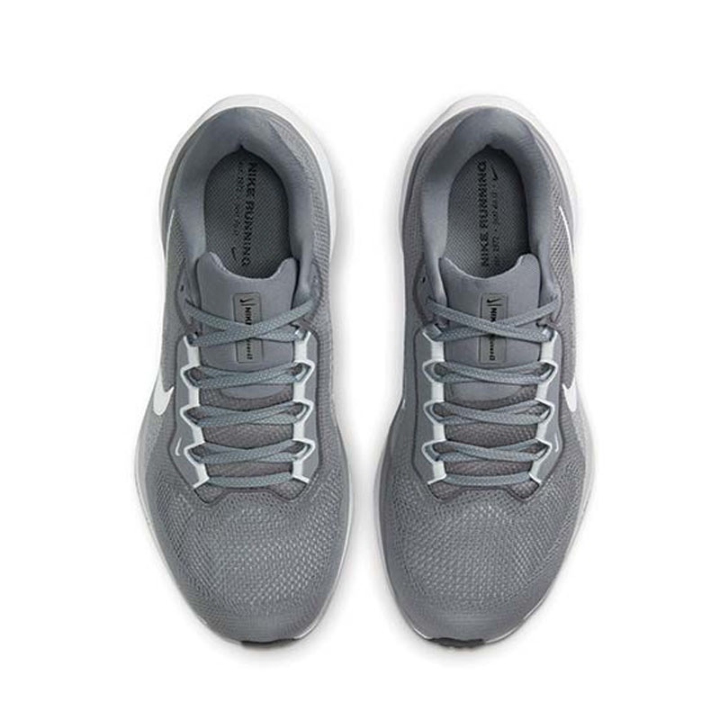 Jual Sepatu Lari Nike Air Zoom Pegasus 41 Cool Grey Original Fd2722-009 - hoops.sakaraguna.com
