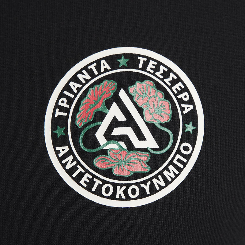 Jual Baju Basket Nike Giannis Antetokounmpo Tee Black Original Fj2317-010 - hoops.sakaraguna.com