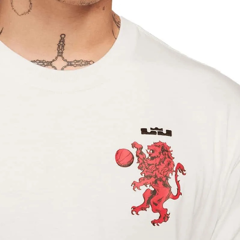 Jual Baju Basket Nike Lebron Max90 Tee White Original Fn0806-030 - hoops.sakaraguna.com