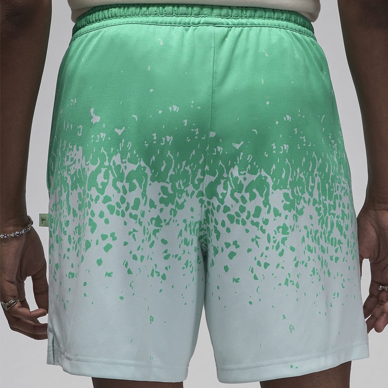 Jual Celana Basket Air Jordan Zion Shorts Kinetic Green Original Fn5346-348 - hoops.sakaraguna.com