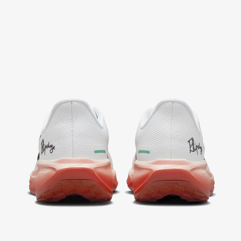 Jual Sepatu Lari Nike Air Zoom Pegasus 41 Eliud Kipchoge White Pale Ivory Original Hj7037-100 - hoops.sakaraguna.com