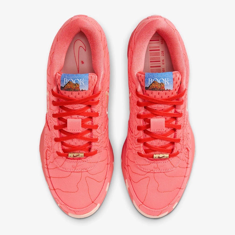 Jual Sepatu Basket Nike Book 1 Text Ep Orange Original Ib8053-800 - hoops.sakaraguna.com