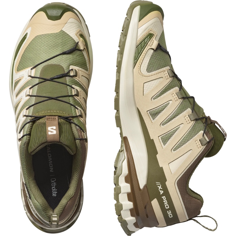 Jual Sepatu Trail Salomon Xa Pro 3D V9 Gore-Tex Deep Lichen Green-Safari Original Sall478202 - hoops.sakaraguna.com