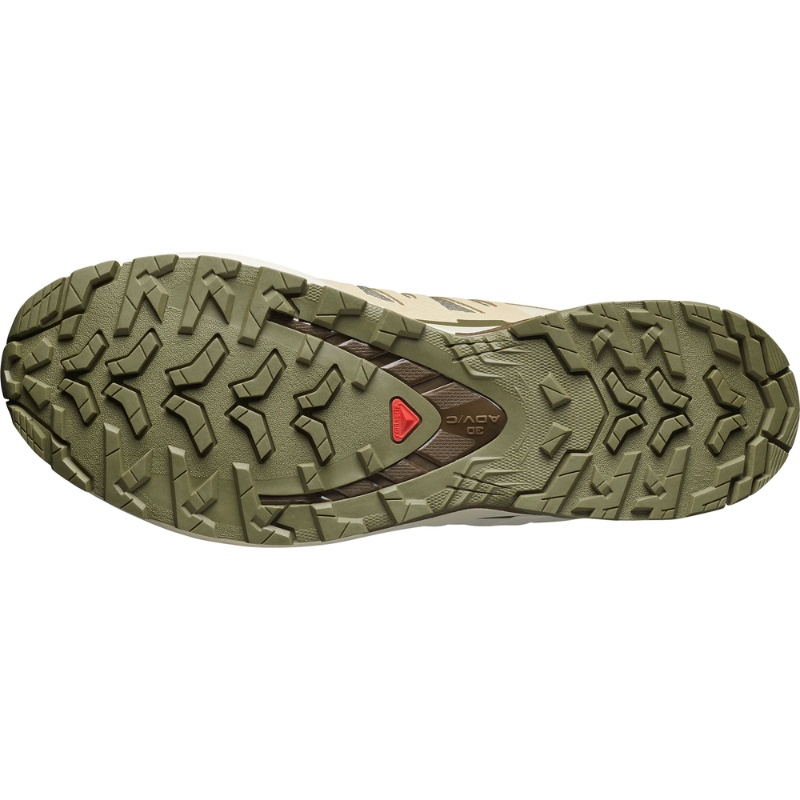 Jual Sepatu Trail Salomon Xa Pro 3D V9 Gore-Tex Deep Lichen Green-Safari Original Sall478202 - hoops.sakaraguna.com